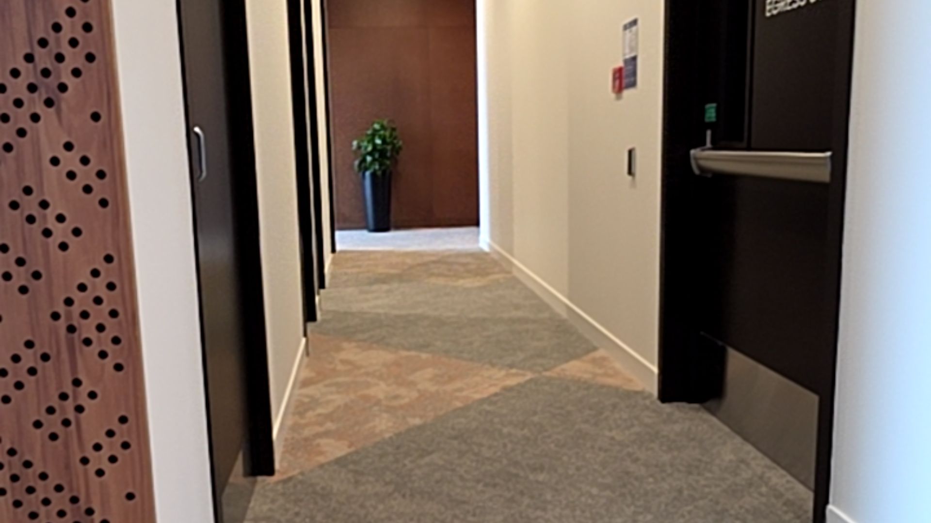 Wide, level hallway with grey and tan patterned carpet. Multiple dark doors line the left. A dark door with a push-bar handle is on the right. A potted plant sits against the far brown wall.
