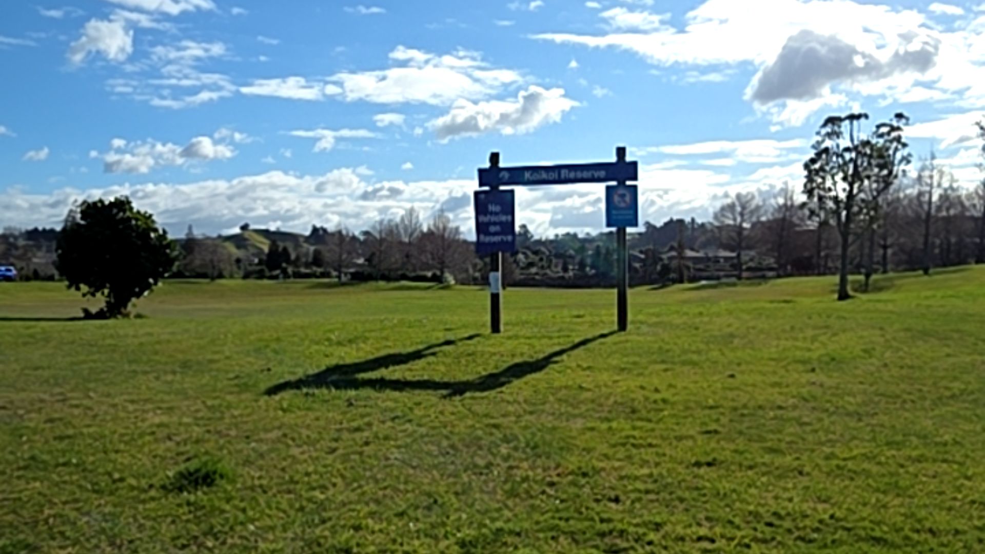 Blue timber sign for Koikoi Reserve on level grassy parkland. Dark blue boards on two dark timber posts, with smaller signs prohibiting vehicles. Houses and trees in the background.