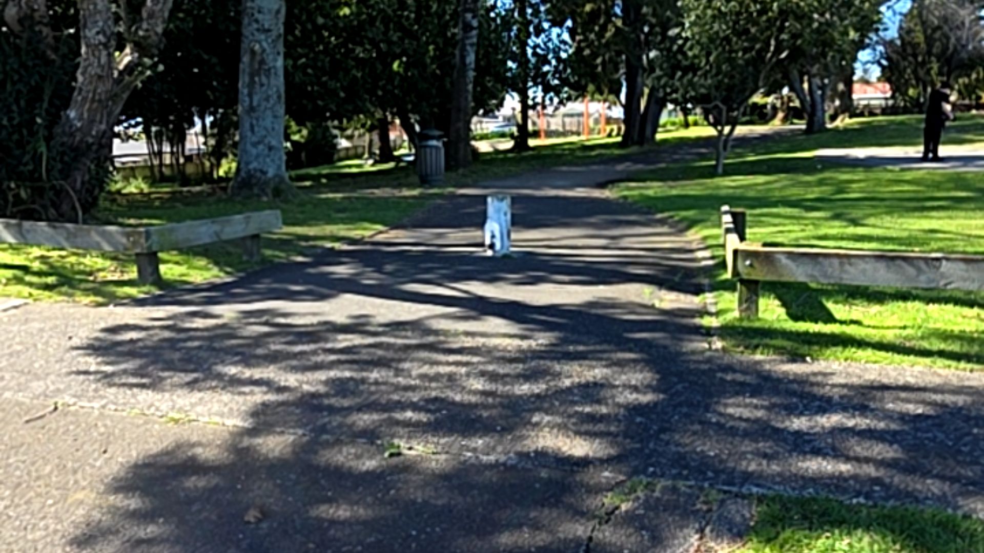 Wide bitumen path with a central white bollard. Low wooden beam barriers on both sides of the entrance. Level paved surface shaded by mature trees in a grassy park.