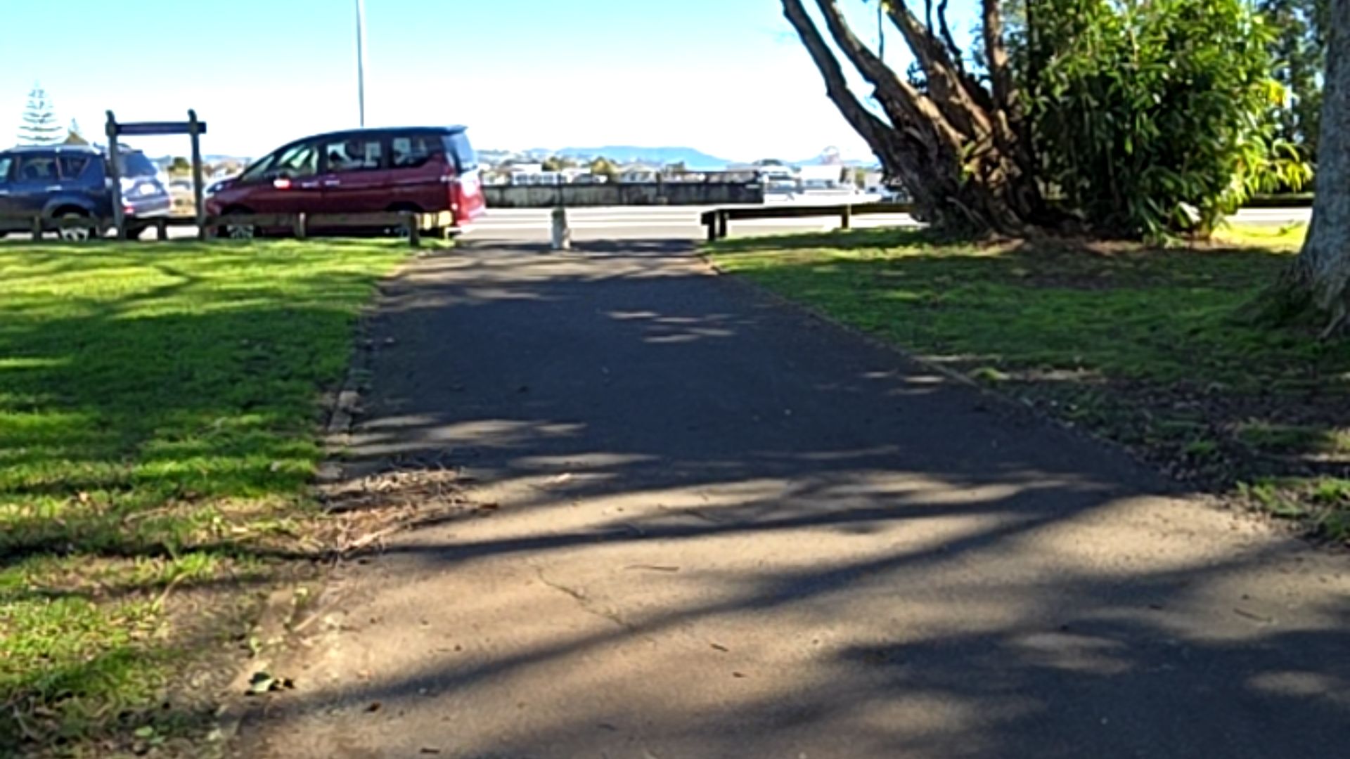 Te Pō Roa Reserve - blindness low vision