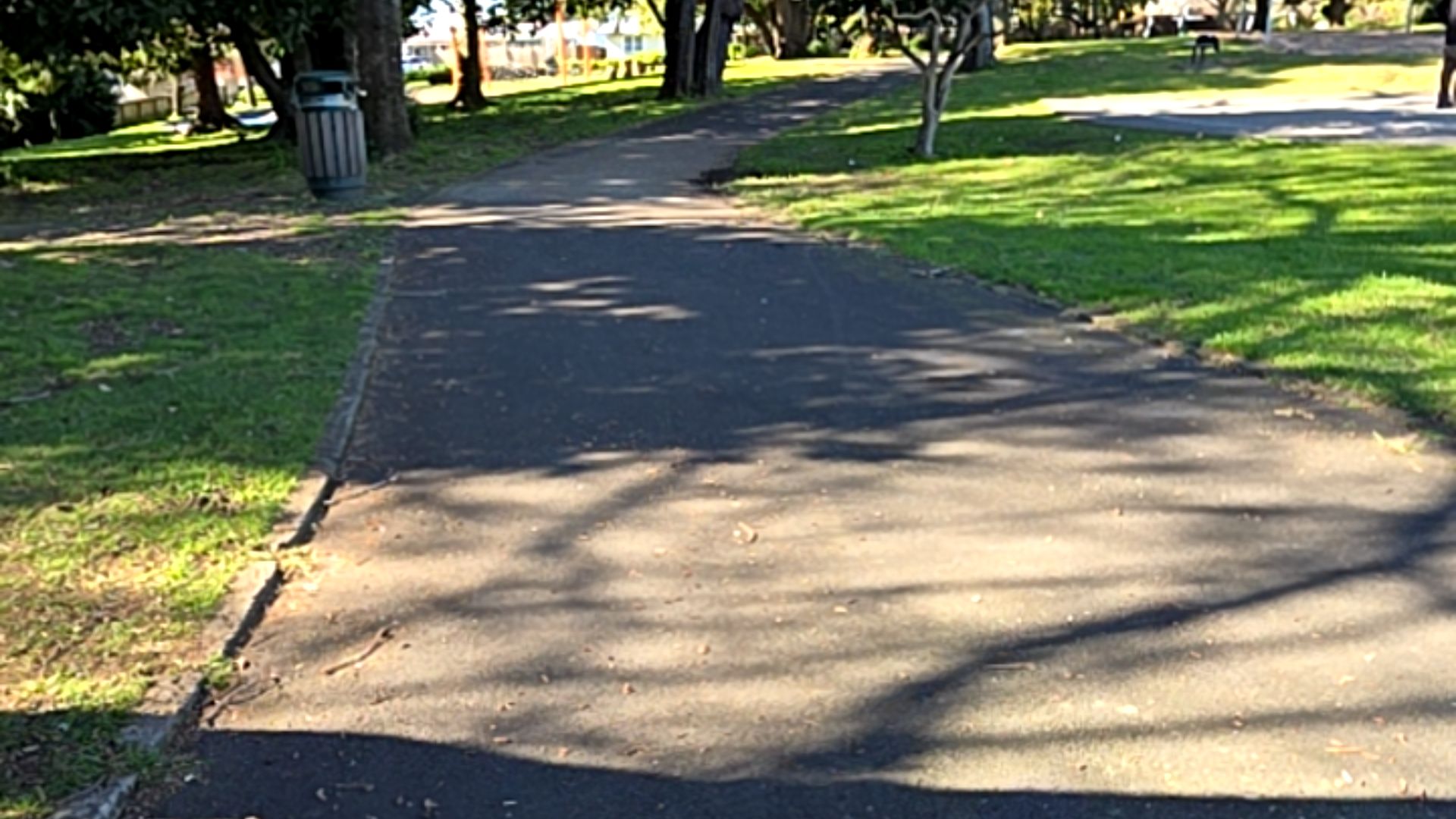 Te Pō Roa Reserve - wheelchair mobility scooter