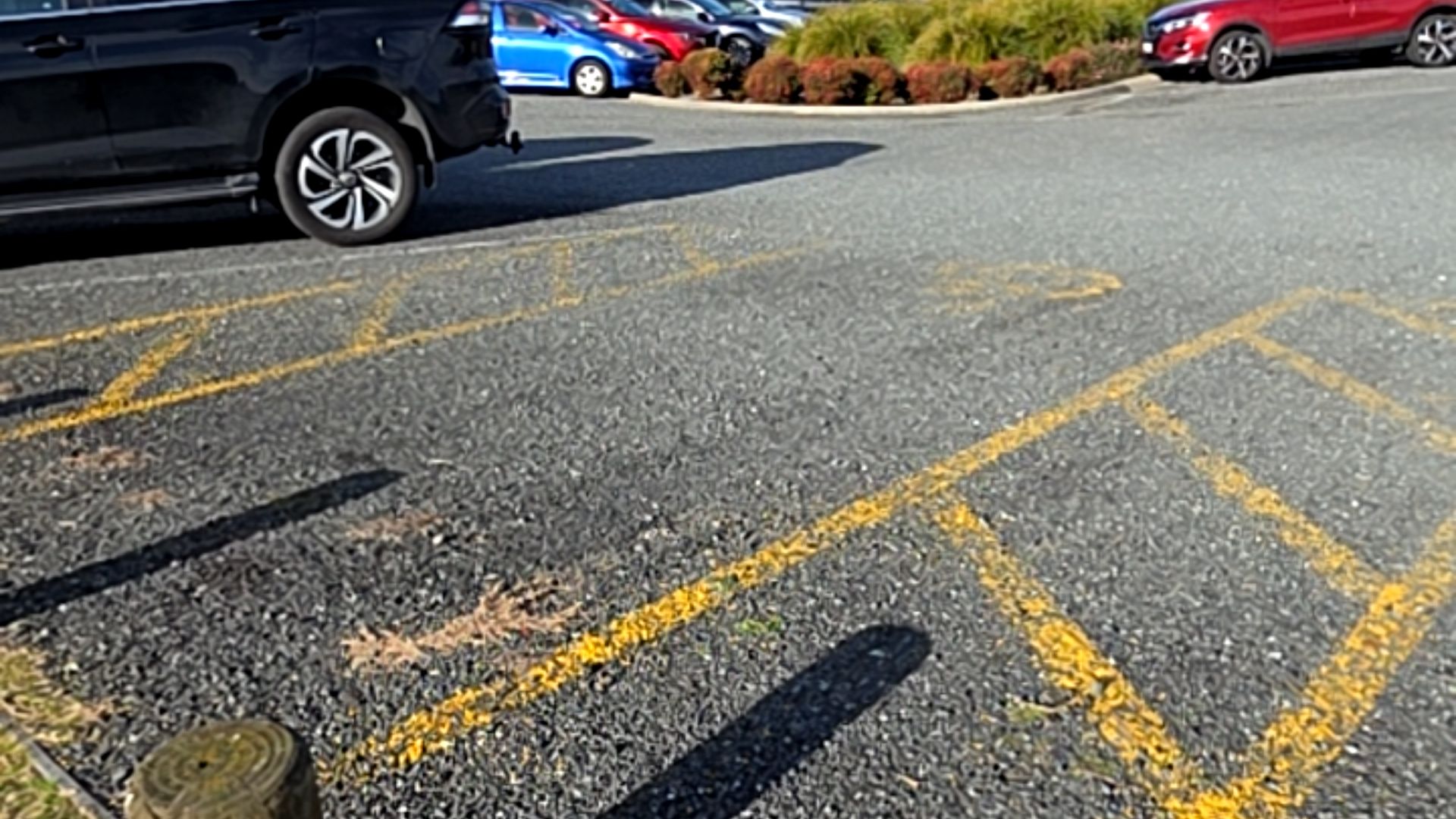 Level asphalt car park with yellow hatched pavement markings. A black SUV and other vehicles are parked nearby, adjacent to a garden bed with red shrubs.