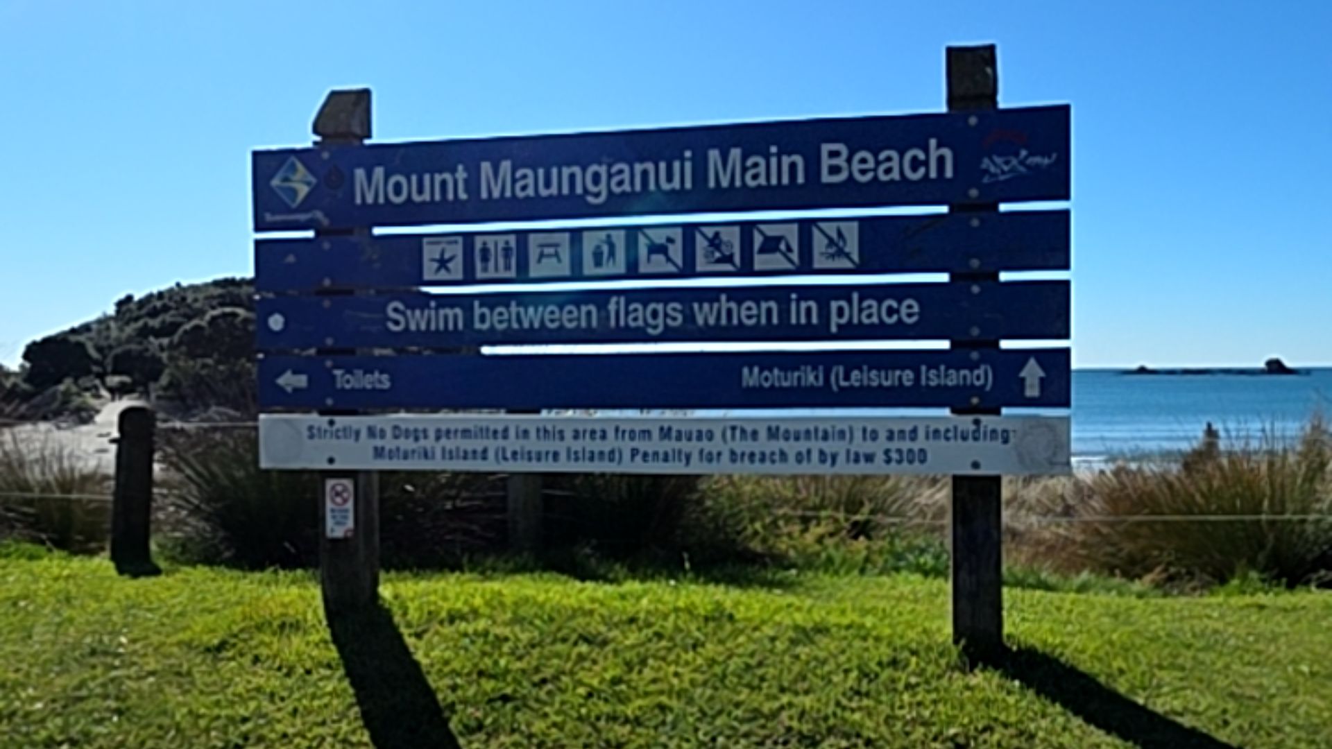 Large blue wooden sign on grass. Top panel: Mount Maunganui Main Beach. Icons for toilets, bins, prohibited dogs/fires. Left arrow for toilets, straight arrow for Moturiki (Leisure Island).