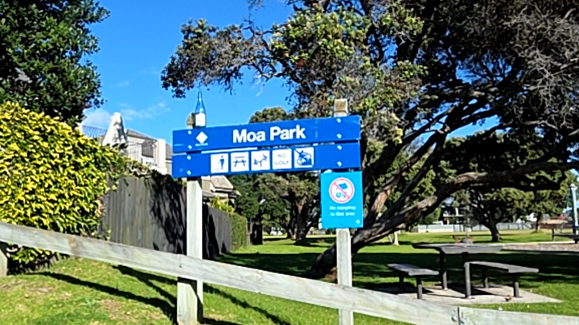 Moa Park - wheelchair mobility scooter