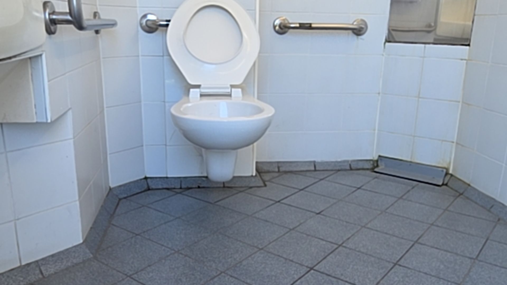 Moa Park - accessible restrooms