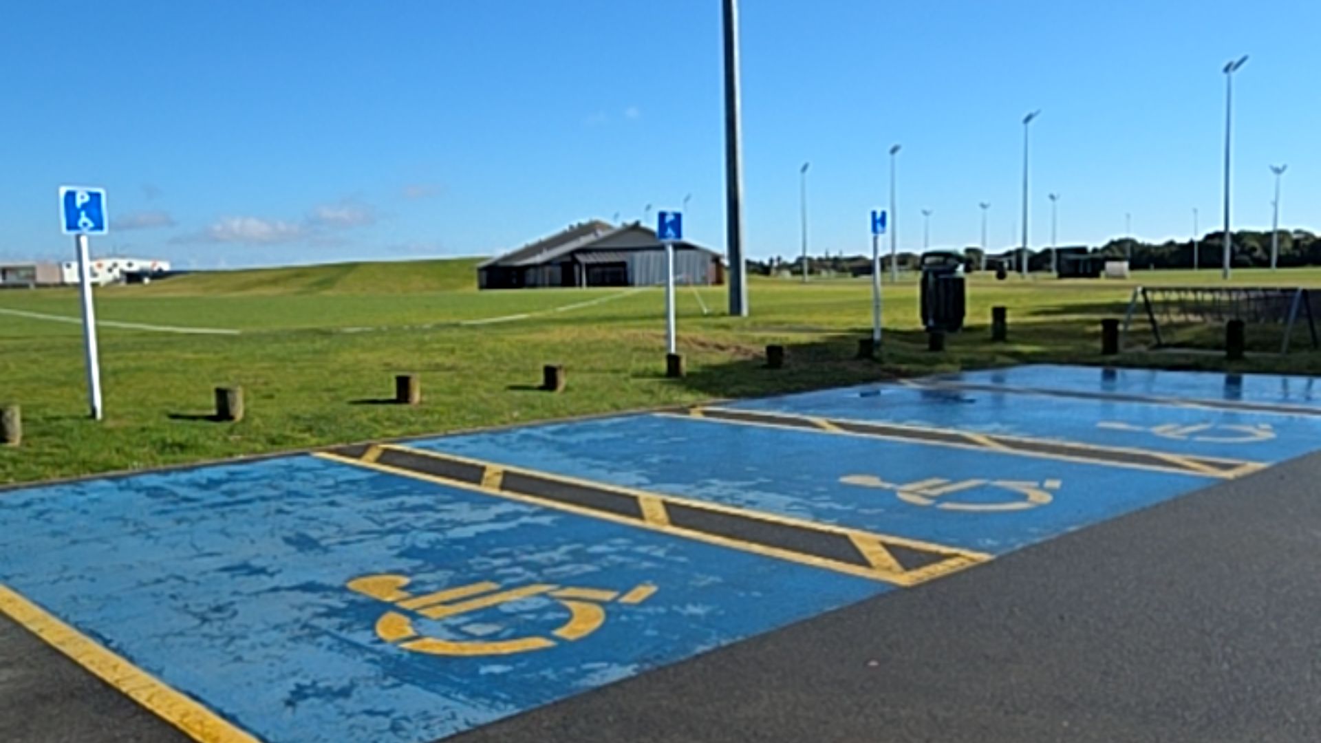 Three blue accessible parking bays with yellow wheelchair symbols and diagonal hatchings. Blue and white signs on poles. Level asphalt surface borders a grass area with timber bollards.