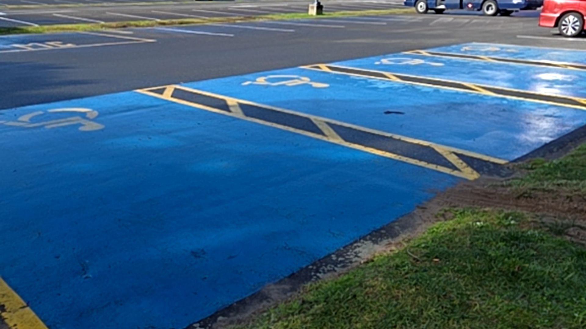 Four bright blue accessible parking spaces with white wheelchair symbols on level asphalt. Yellow diagonal hatched lines indicate access aisles between spaces. Adjacent to a grassy area.