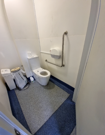 White toilet with L-shaped stainless steel grab rail on the right wall. Blue non-slip vinyl flooring with a grey textured section. White sanitary bins located to the left.