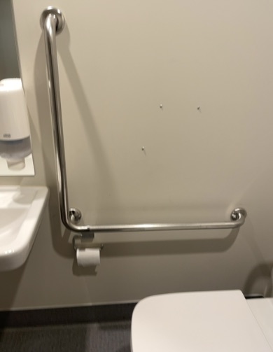 L-shaped chrome grab bar on light wall beside toilet, with toilet paper holder. Sink and soap dispenser to left.