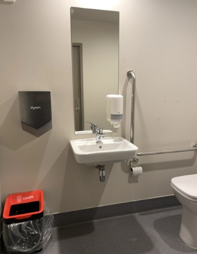 White toilet with vertical and horizontal chrome grab bars, wall-mounted sink with soap dispenser, and Dyson hand dryer. Features a level, textured grey floor.