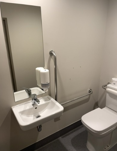 Accessible bathroom with white toilet, wall-mounted sink, and chrome grab bars positioned next to both fixtures for support. Dark non-slip flooring is visible.