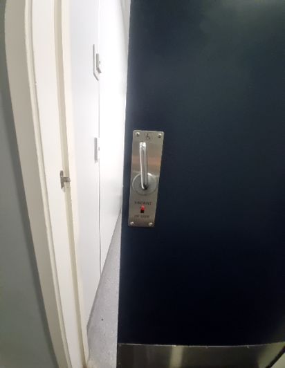 Dark accessible stall door with silver lever handle, displaying wheelchair symbol. The red 'VACANT' light indicates availability. Opens onto a level floor.