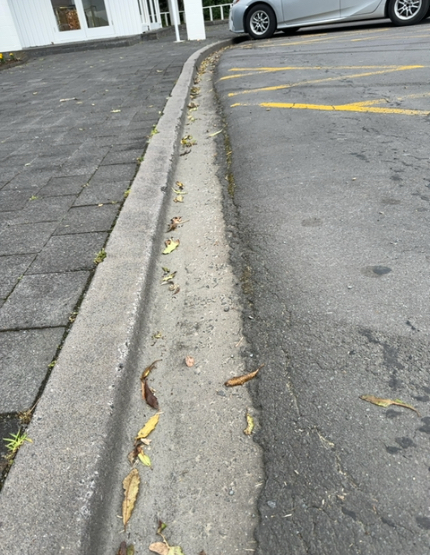 accessibility_overview accessibility image