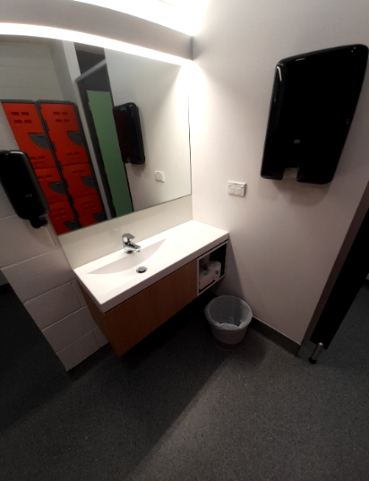 Washroom with white sink over wooden vanity lacking under-sink clearance. Dark grey carpeted floor, wall-mounted hand dryers. No grab bars or accessible amenities visible.