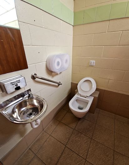 White toilet with seat up and stainless steel grab bar on wall. Small stainless steel sink, soap dispenser, level brown tiled floor, and cream block walls with a light green tile border.