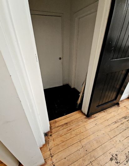 Threshold with a slight lip leads from light timber floors to a dark hallway with black floors. Two white doors are closed. An open black door and a wooden ladder are on the right.