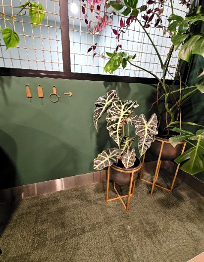 accessible Restrooms accessibility image