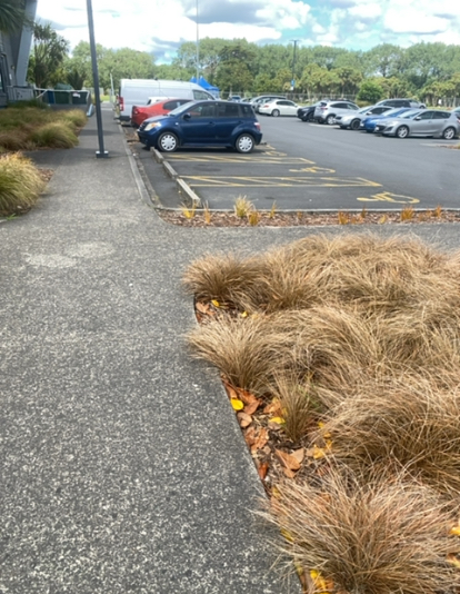 accessibility_overview accessibility image