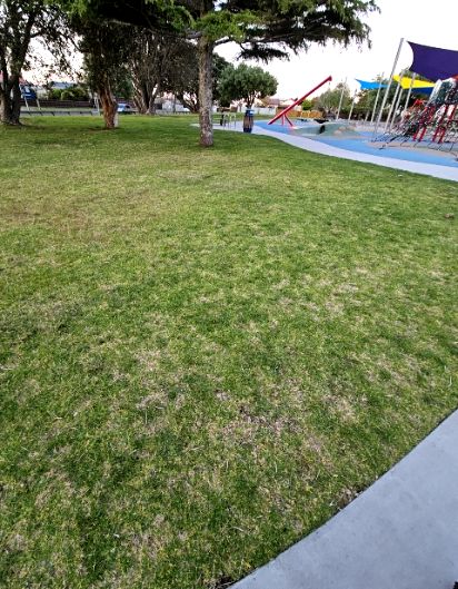 wheelchair Mobility Scooter accessibility image