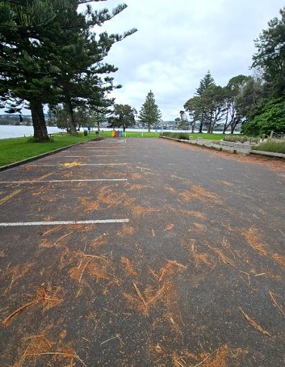 accessibility_overview accessibility image