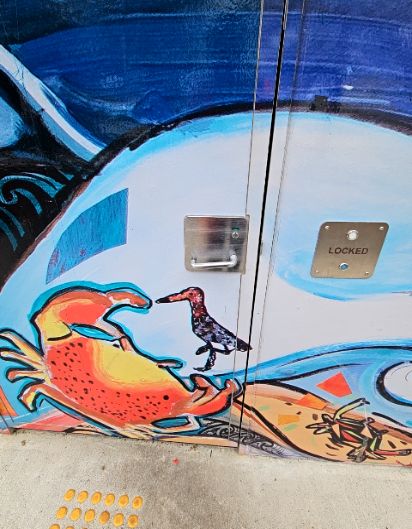 accessibility_overview accessibility image