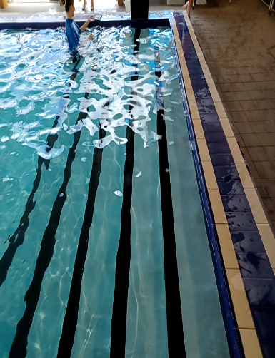 accessibility_overview accessibility image