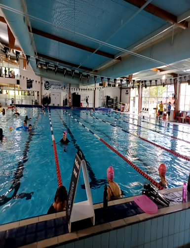 accessibility_overview accessibility image