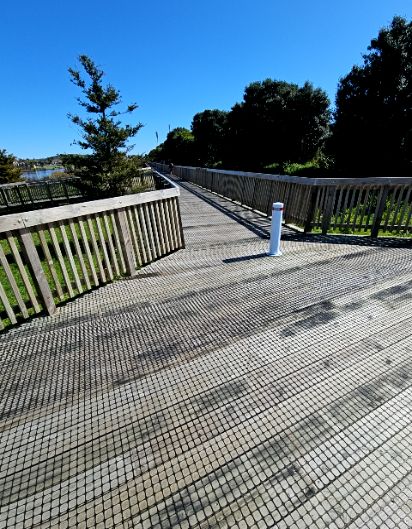 accessibility_overview accessibility image