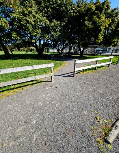 accessibility_overview accessibility image