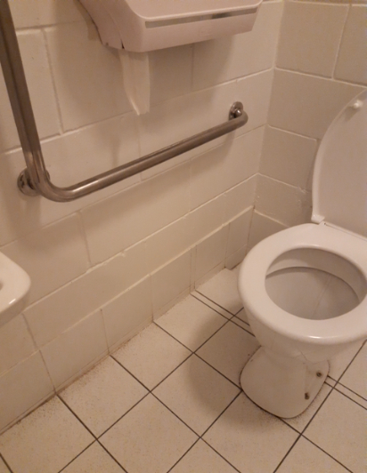 White ceramic toilet with an L-shaped stainless steel grab rail mounted on white masonry walls. Level floor with white square tiles and dark grout lines.