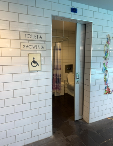 accessibility_overview accessibility image