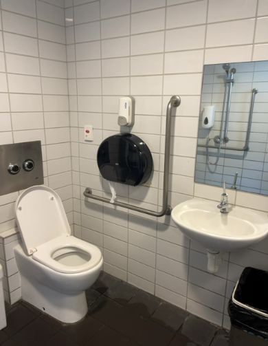 accessibility_overview accessibility image