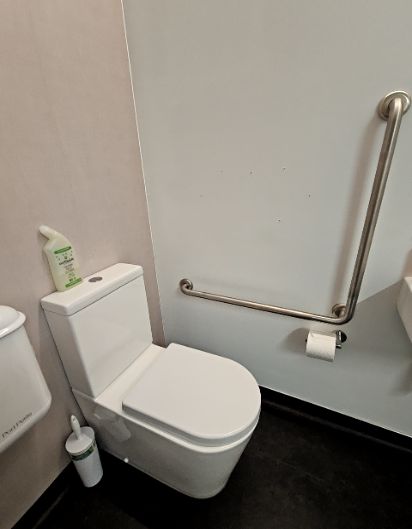 White toilet with two stainless steel grab bars on the right wall: one horizontal, one angled upwards. Dark floor, toilet paper holder visible.
