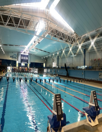 accessibility_overview accessibility image